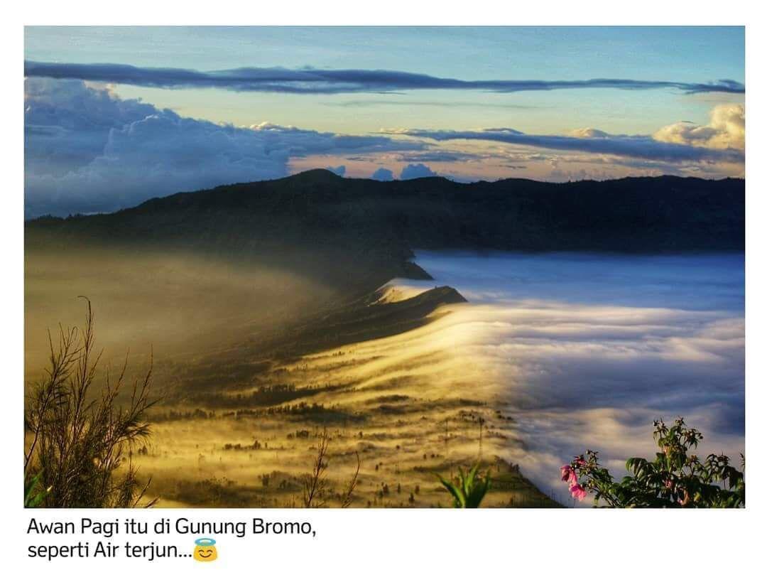 דירות פסורואן Bromo Backpacker Tosari מראה חיצוני תמונה